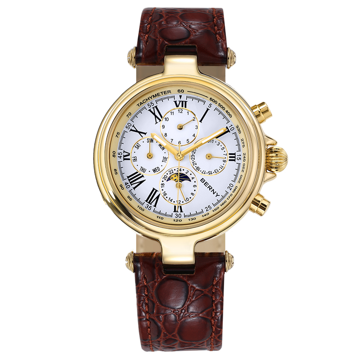 BERNY Retro Otomatik erkek saa - Seiko Watch Prospex incelemesi ve fiyatı